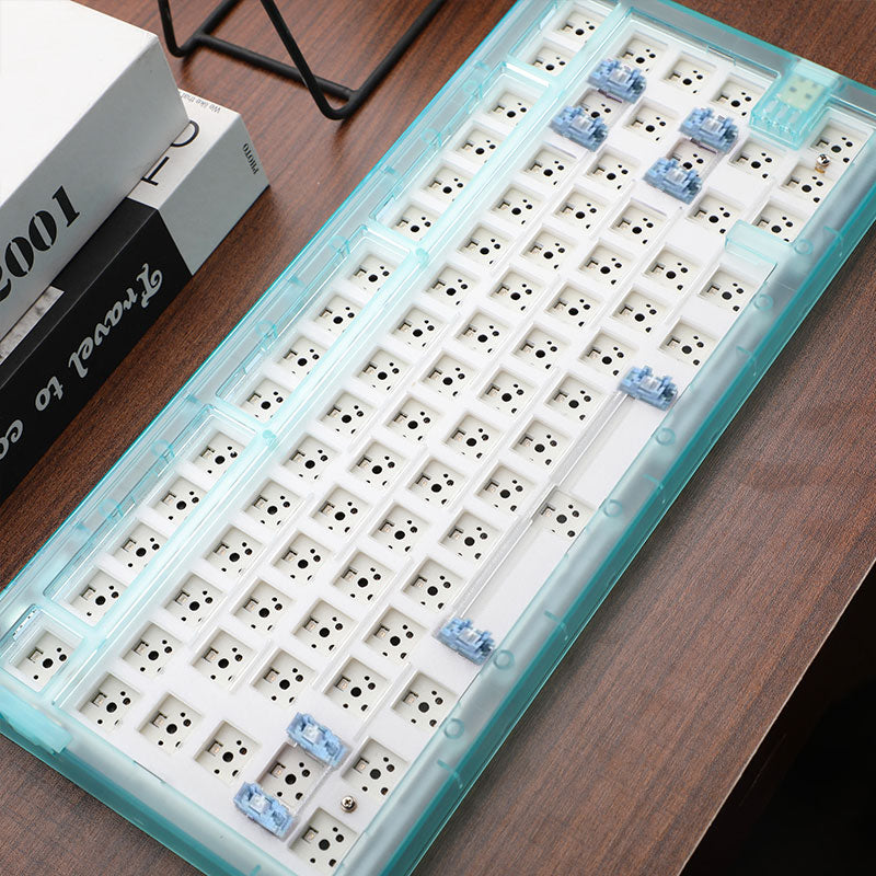 Dareu A81 Gasket Transparent Mechanical Keyboard